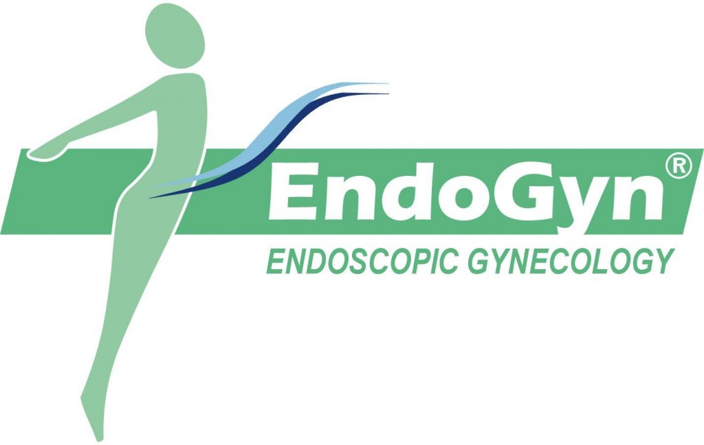 EndoGyn: Top-Level endoscopic surgery for fibroids, adhesions ...